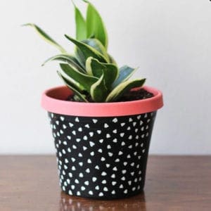 8 lovely plant + succulent diy craft tutorials