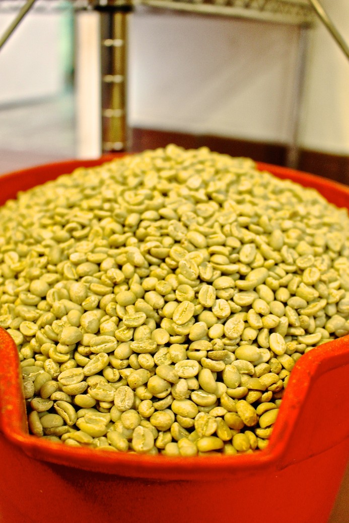 wilson-coffee-roasting-orange-county-organic-dear-handmade-life-coffe-beans-green