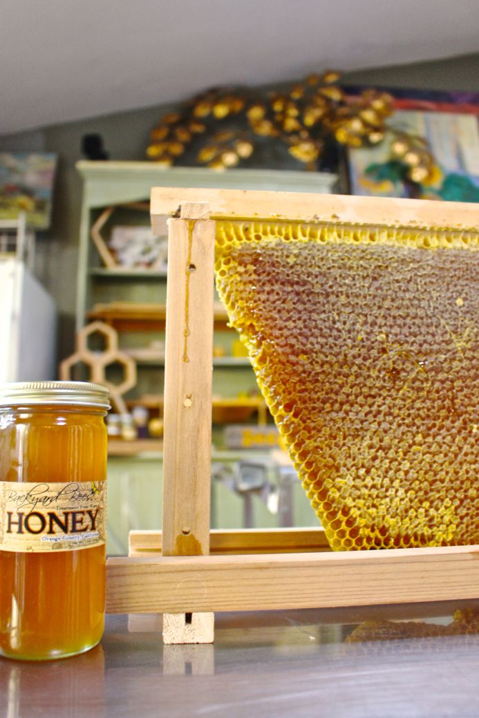 honey party with backyard bees on dear handmade life
