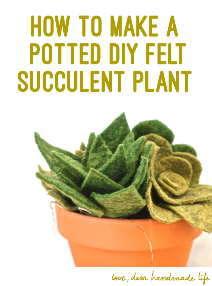 How to make a DIY felt succulent plant on Dear Handmade Life