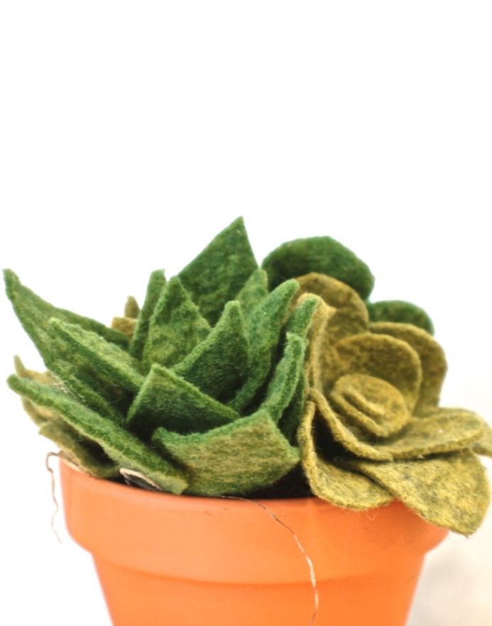 How to make a DIY felt succulent plant on Dear Handmade Life