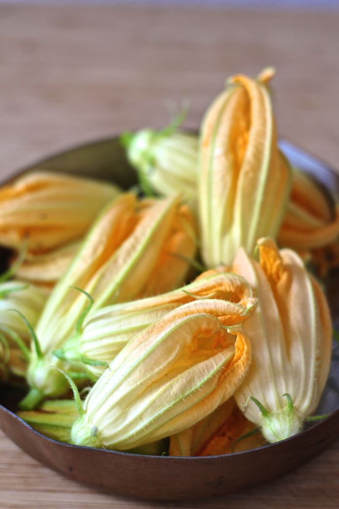 Fried squash blossoms from Dear Handmade Life