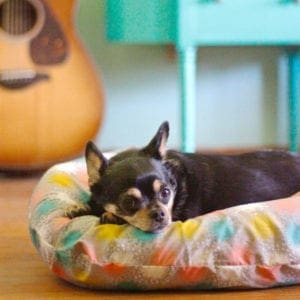 DIY Dog Bed Cover