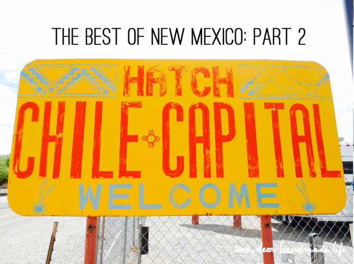 The Best of New Mexico Part 2 from Dear Handmade Life