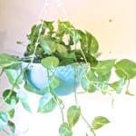 DIY Painted Pot + Macramé Hanging Plant Holder Tutorial from Dear Handmade Life