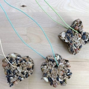 How to make DIY Bird Seed Ornaments